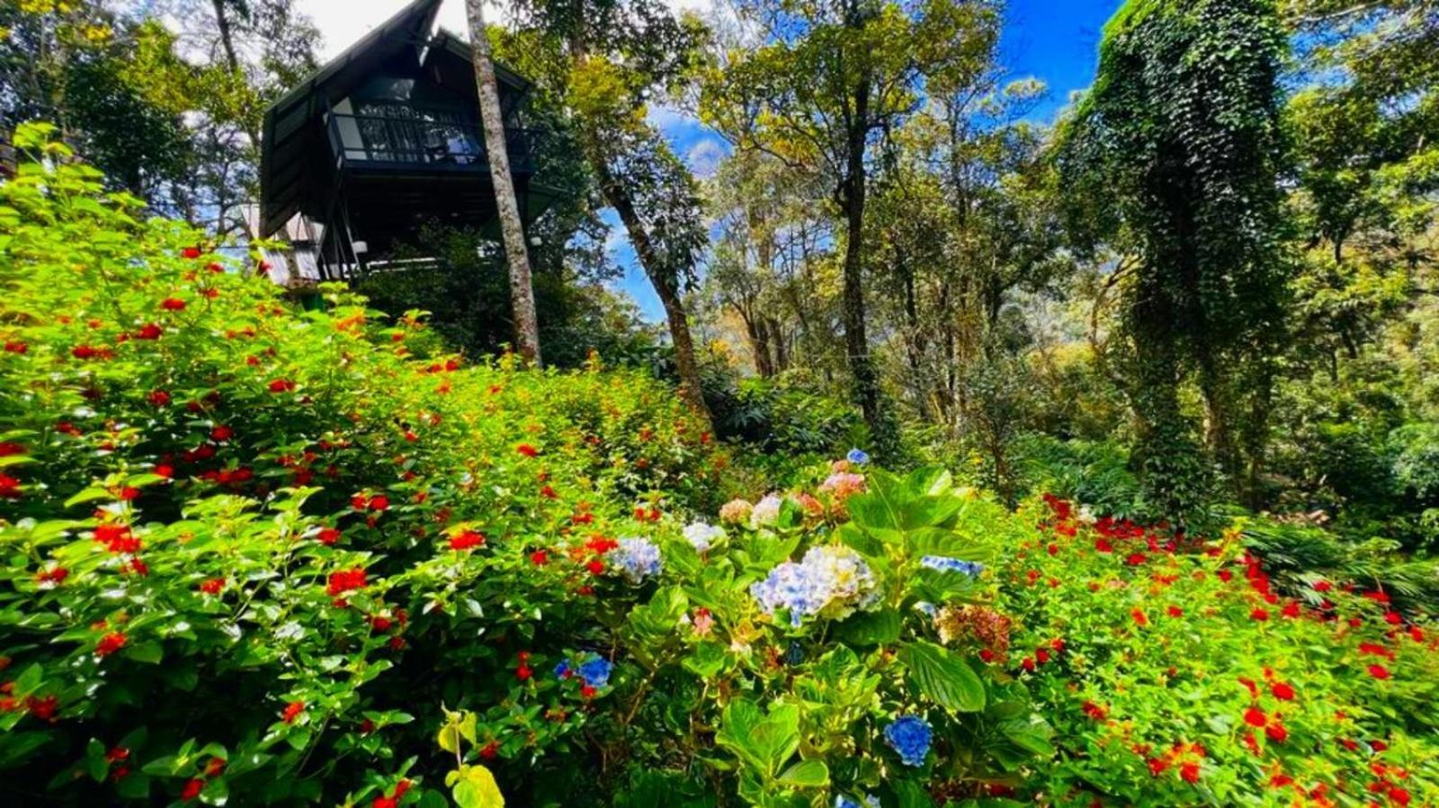 Resort Bamboo Dale Resort, Munnar
