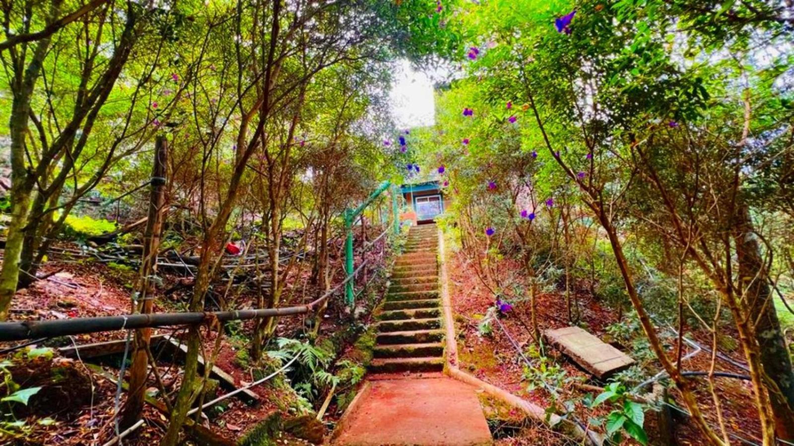Bamboo Dale Resort, 2* Munnar
