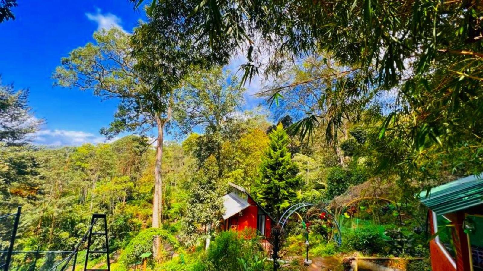 Bamboo Dale Resort, Resort 2*