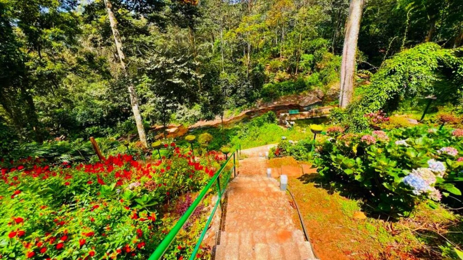 Resort Bamboo Dale Resort, 2*