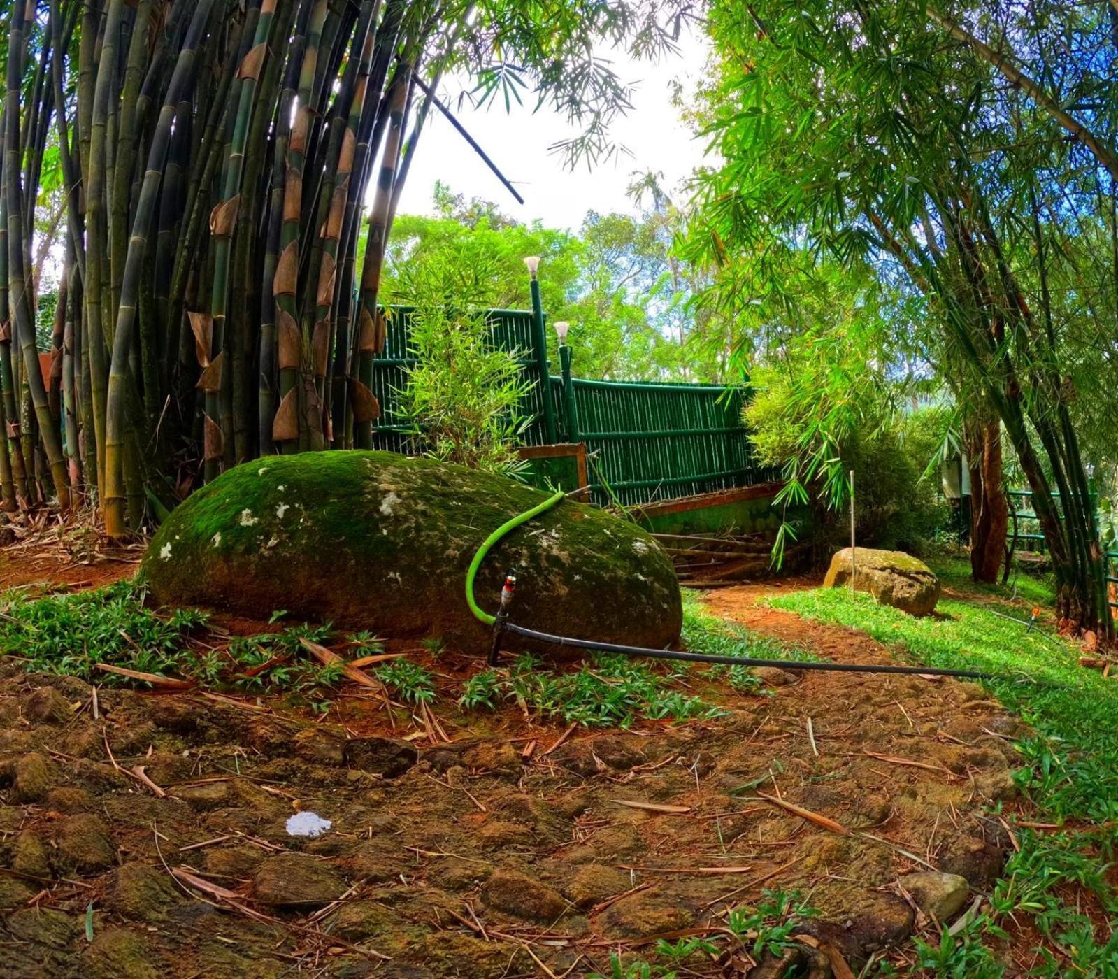 Bamboo Dale Resort, Resort Munnar