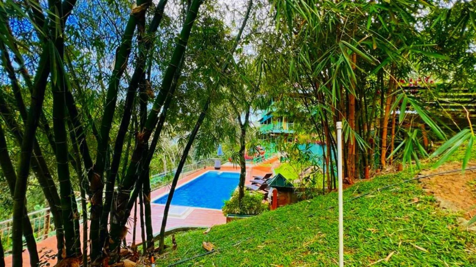 Bamboo Dale Resort, Munnar