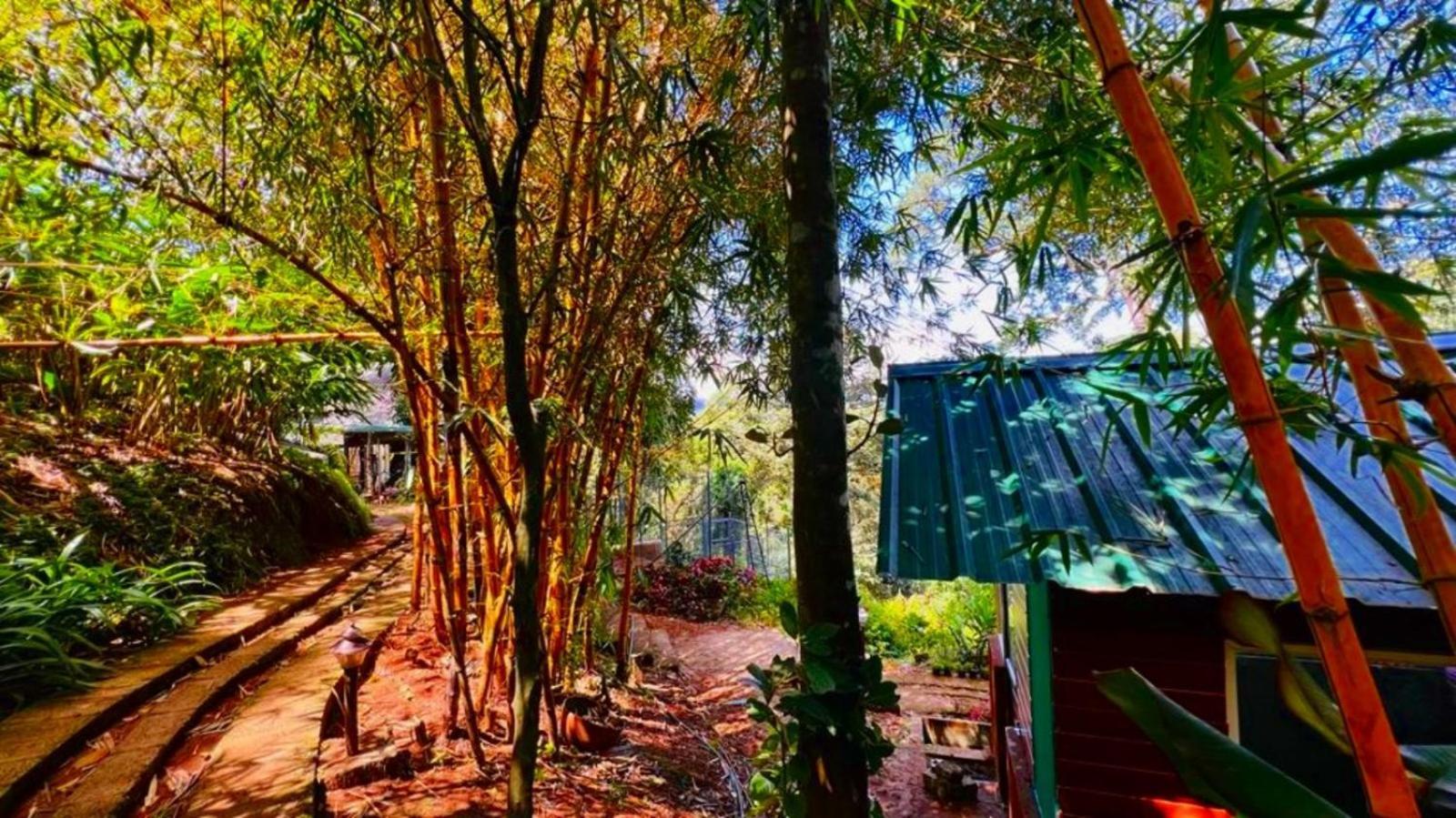Resort Bamboo Dale Resort, 2*