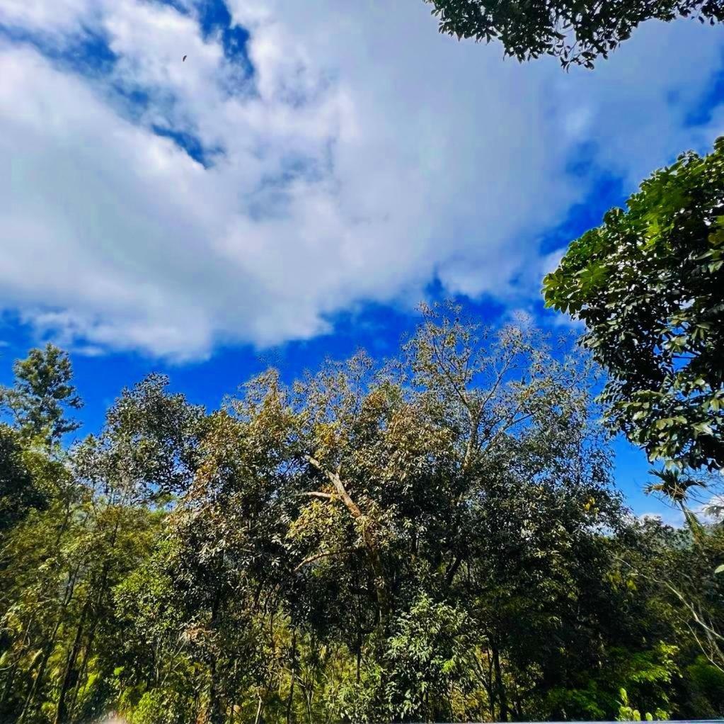 Bamboo Dale Resort, 2*