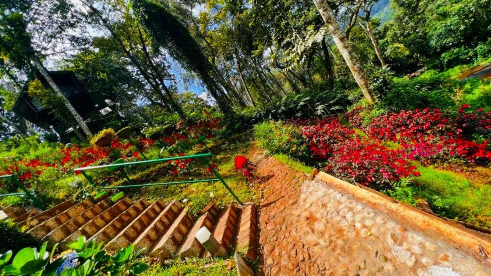 Bamboo Dale Resort, Resort 2*