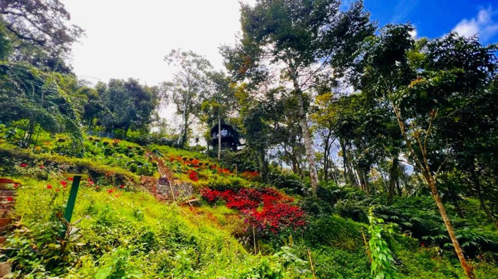 Bamboo Dale Resort, Resort Munnar