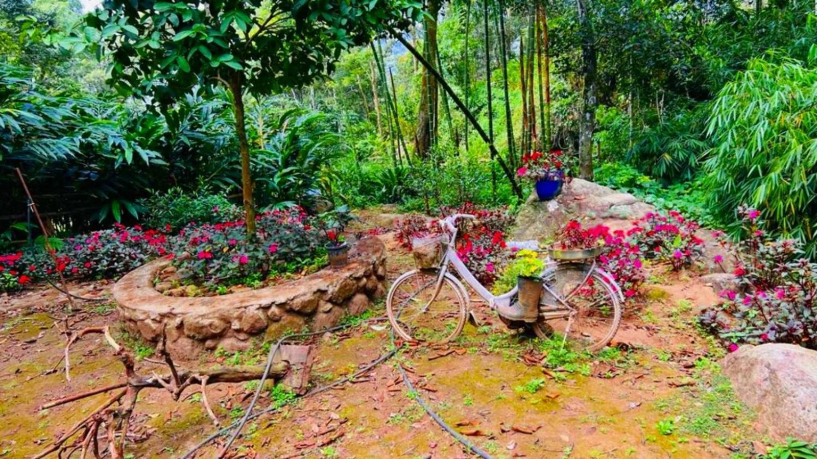 Bamboo Dale Resort, 2*