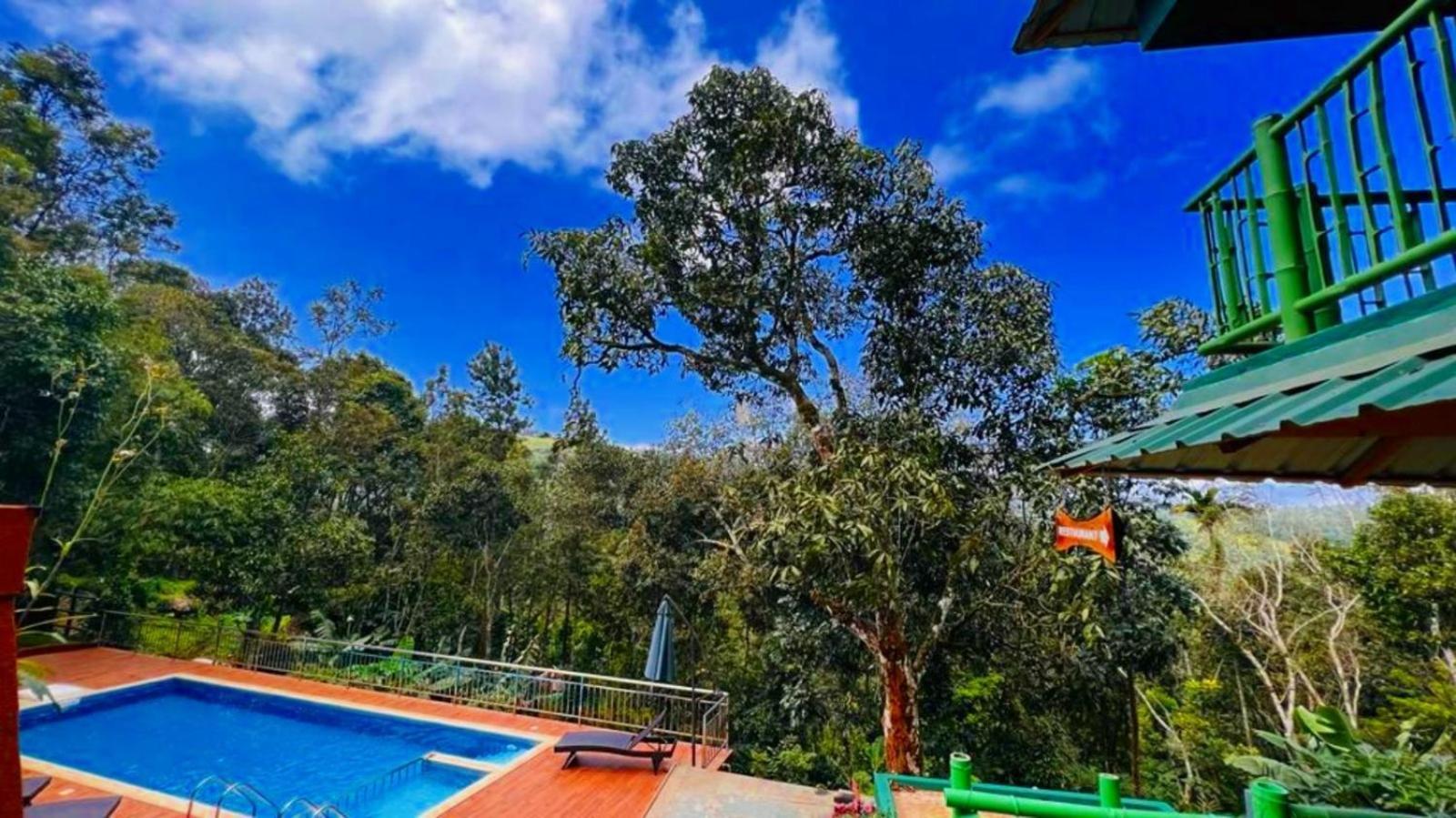 Bamboo Dale Resort, Resort