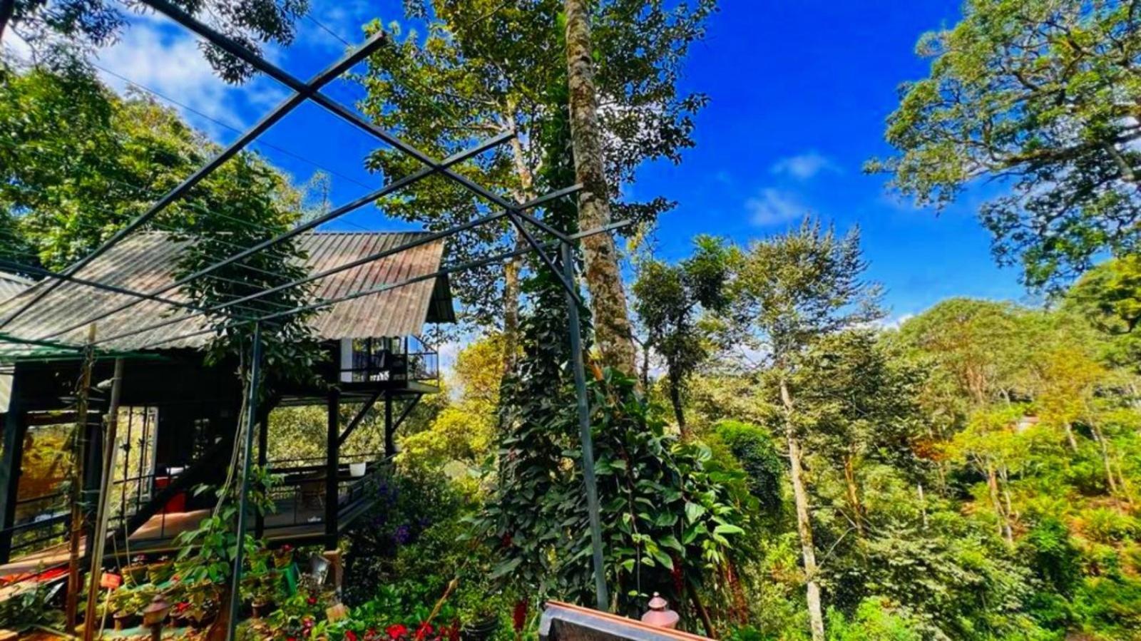Resort Bamboo Dale Resort,