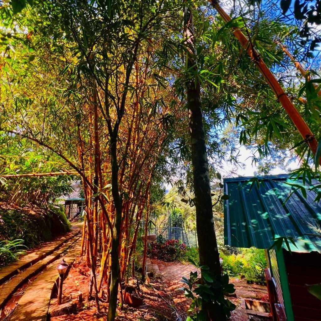 Resort Bamboo Dale Resort, 2*