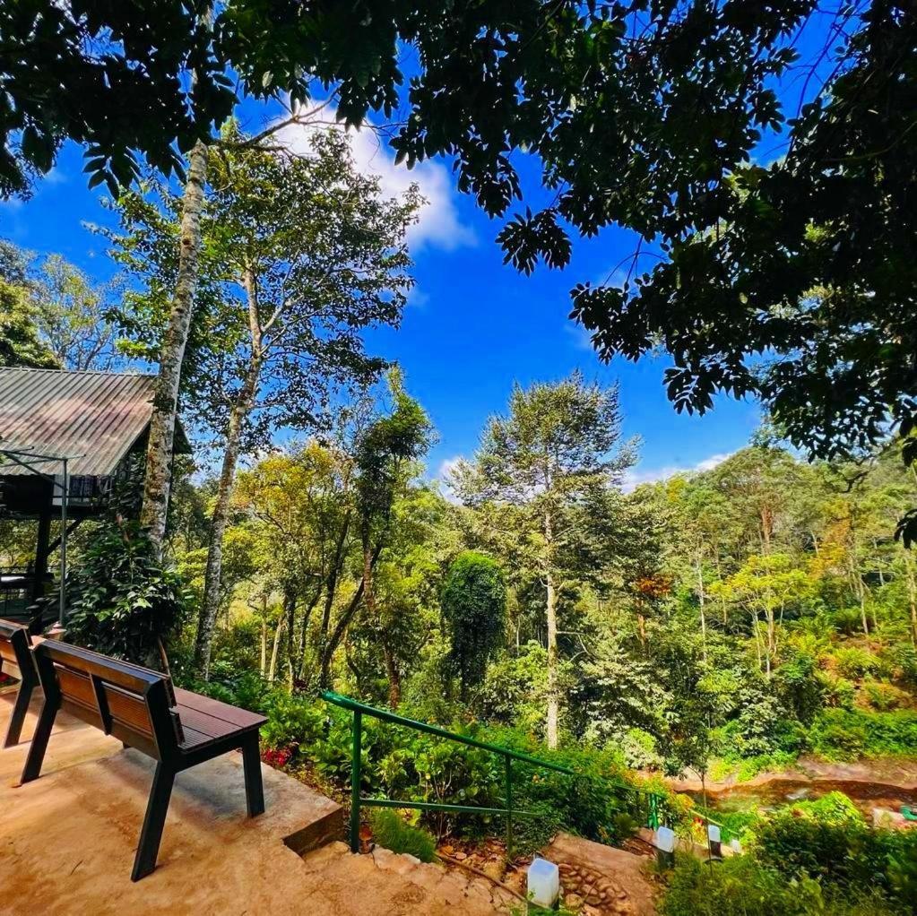 Bamboo Dale Resort, Munnar