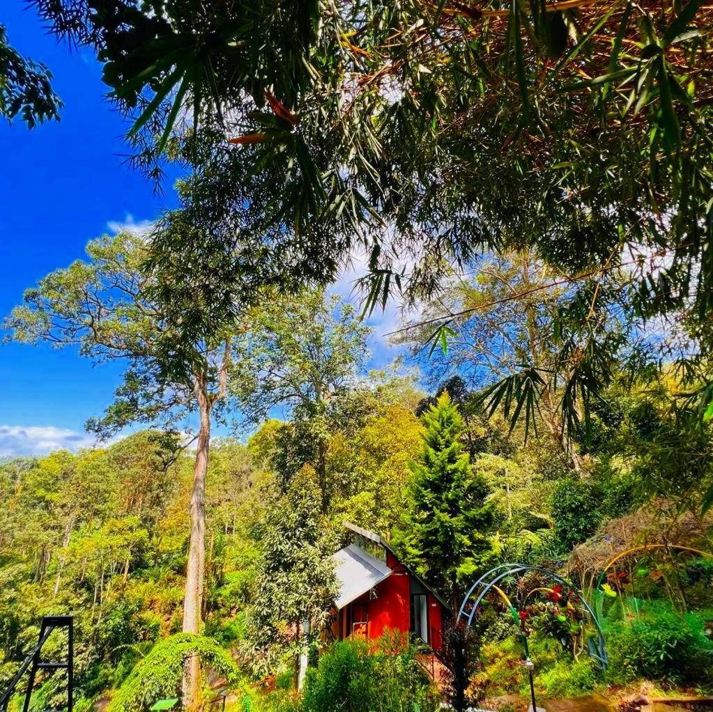Bamboo Dale Resort, 2* Munnar