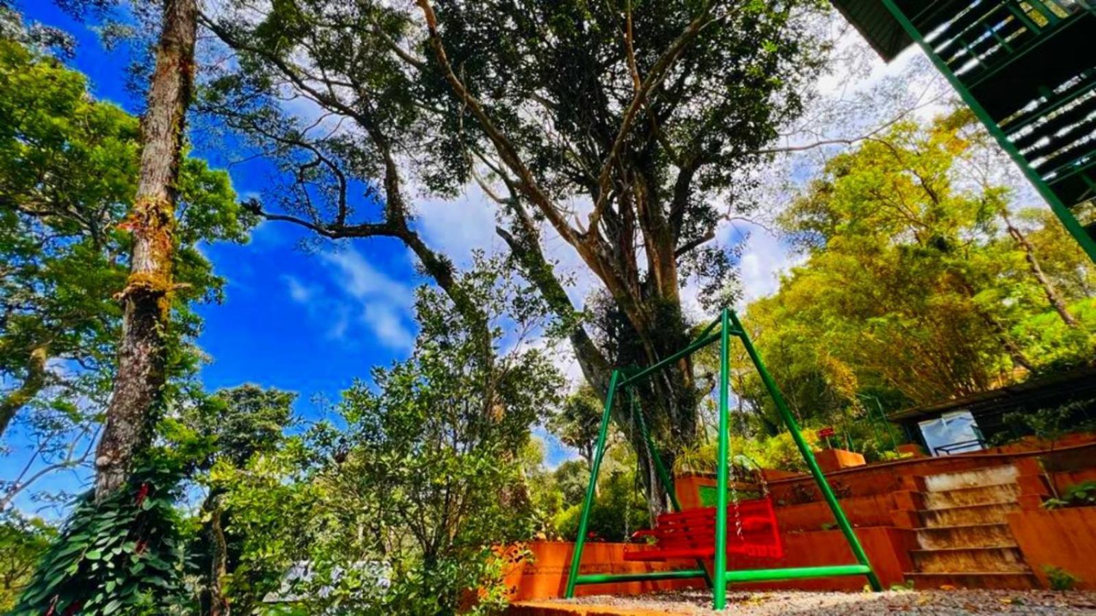 Bamboo Dale Resort,