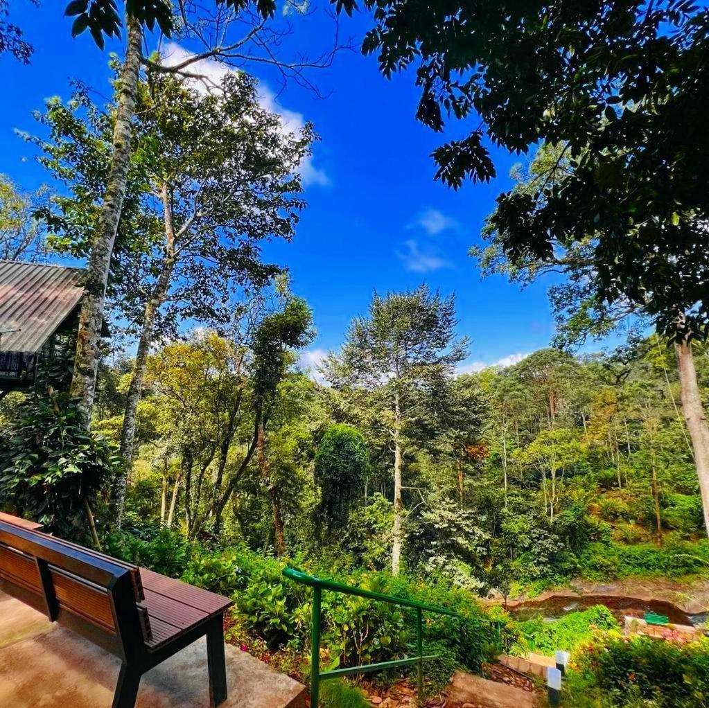Bamboo Dale Resort, 2*