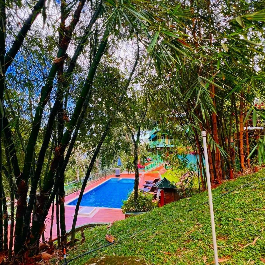 Bamboo Dale Resort, Resort