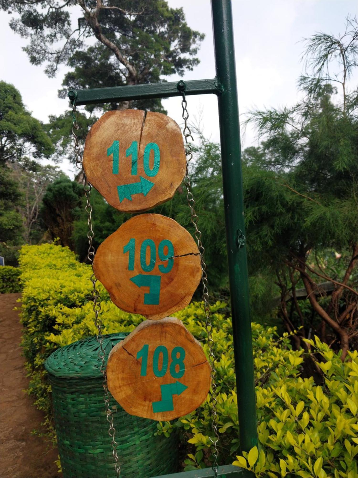 Nature Zone Jungle Resort Munnar