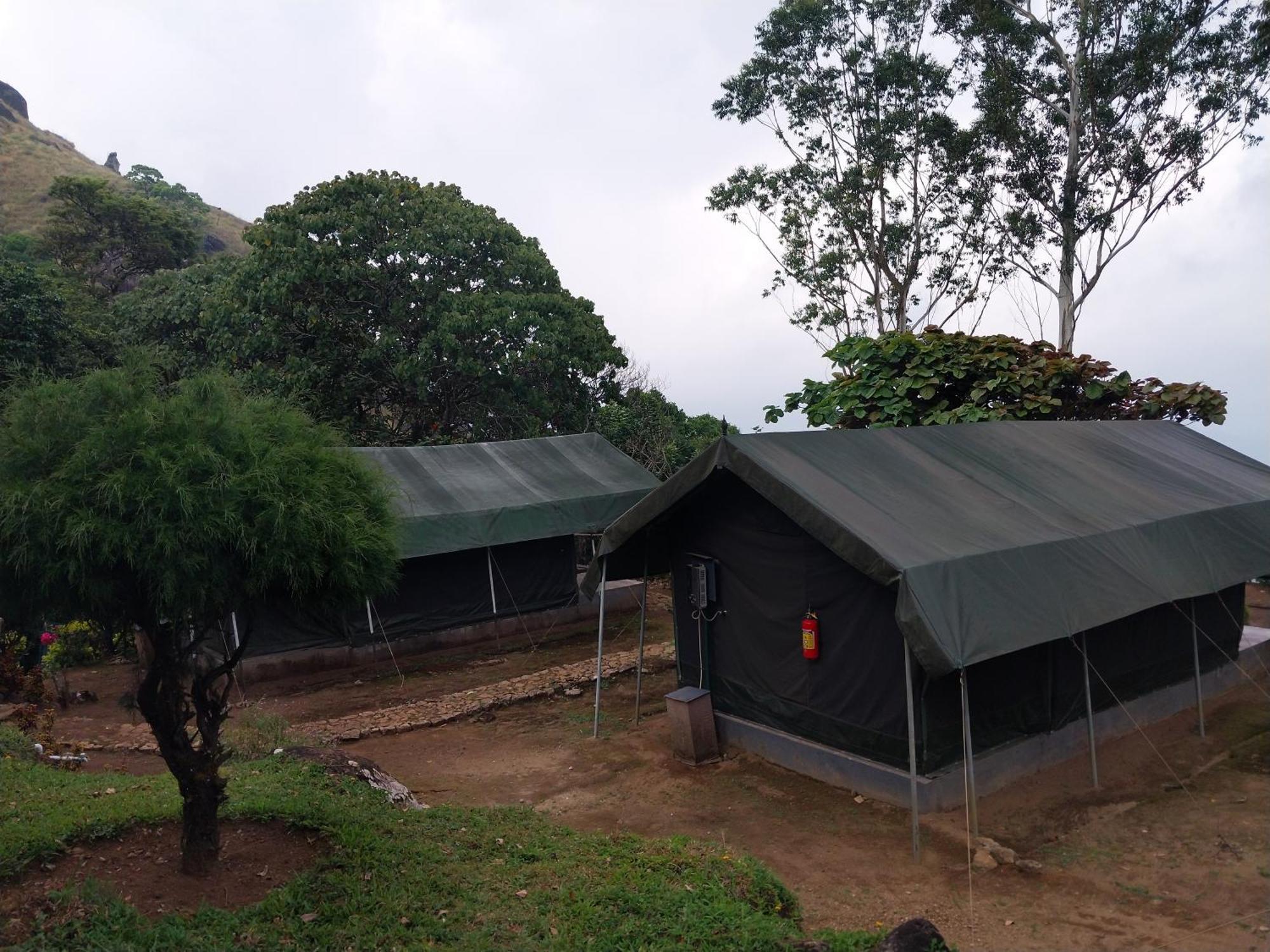 Nature Zone Jungle 4*