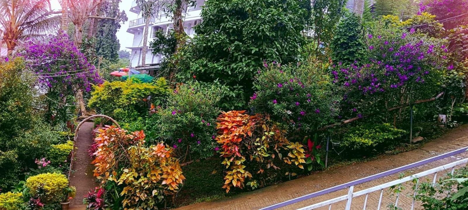 Holiday home The Wayside *