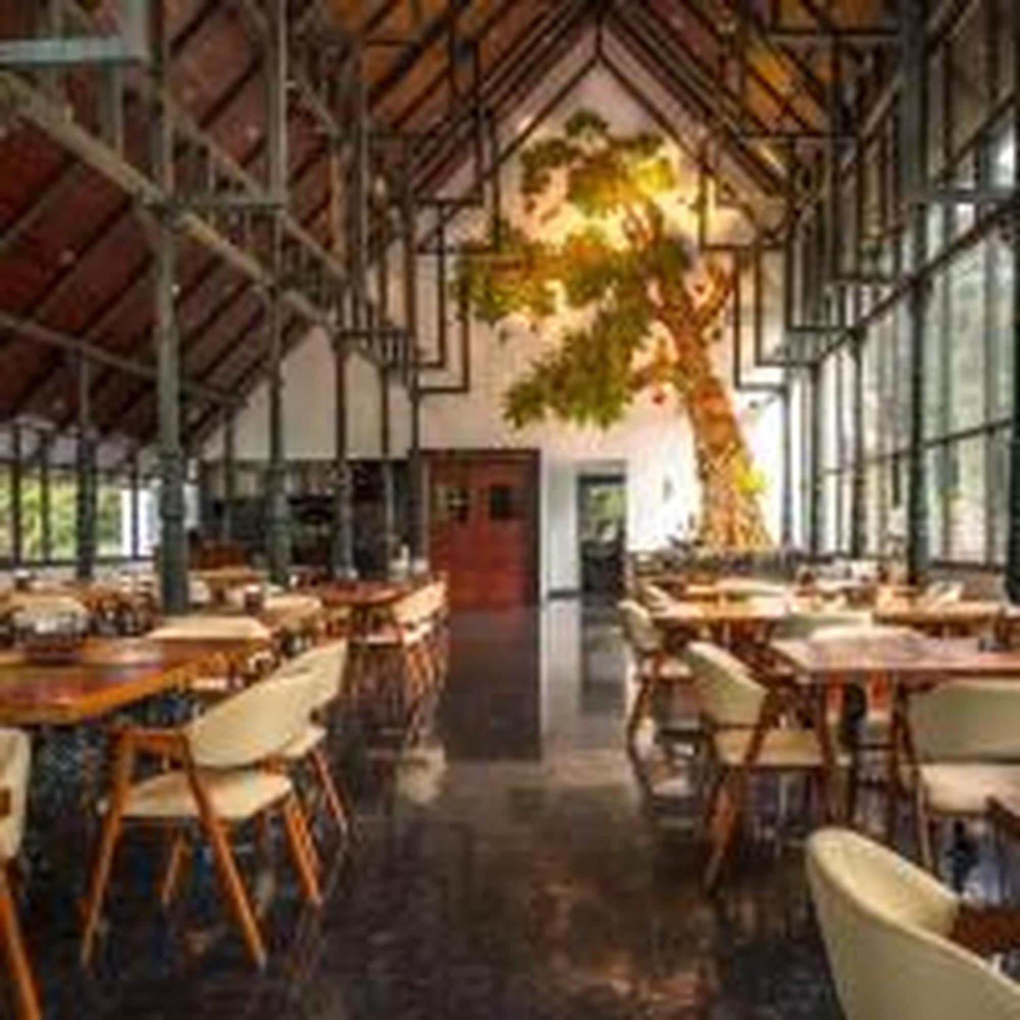 Elixir Woods Luxury And Spa, Resort Munnar