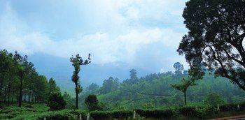 Gokulam Park Hotel 4*