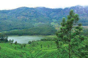 Gokulam Park 4* Munnar
