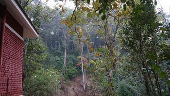 Falling Waters Munnar