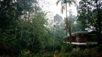 Falling Waters 3*
