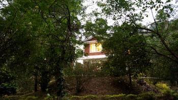 Hotel Falling Waters Munnar