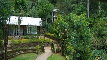 Hotel Falling Waters 3*