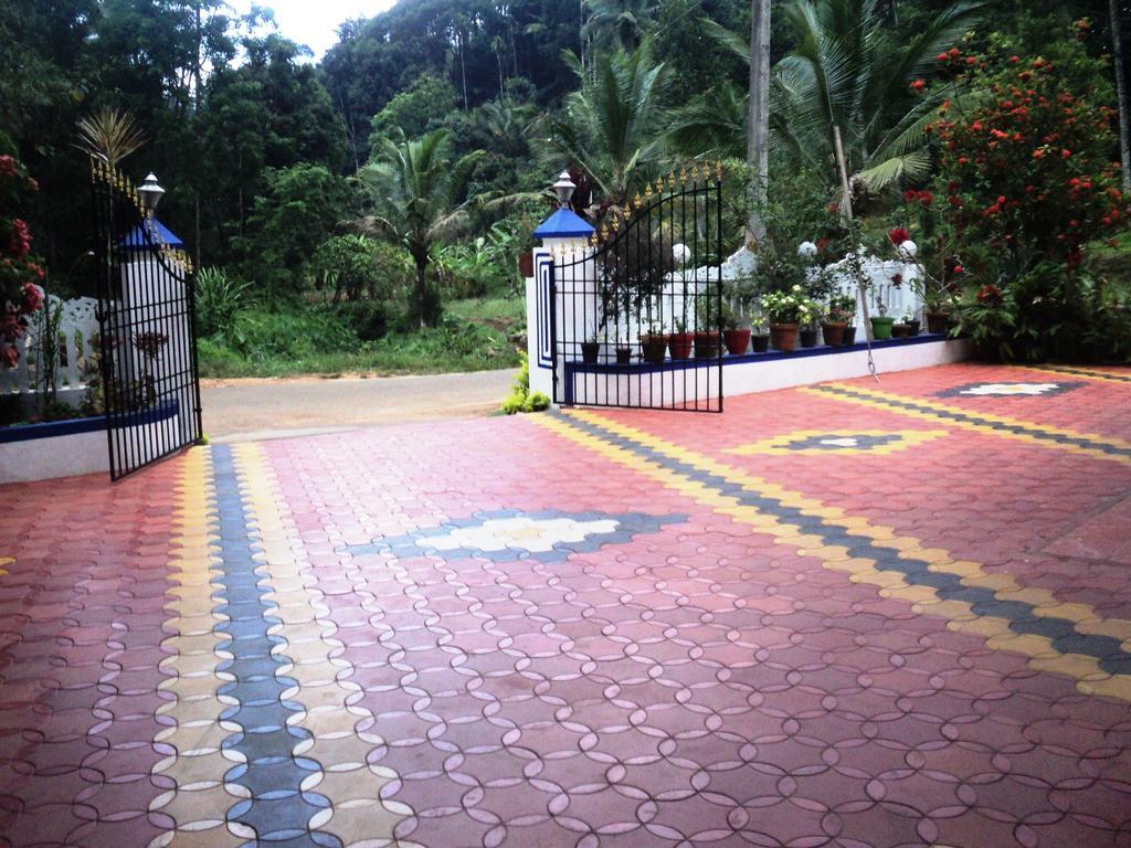 View Valley Homestay *