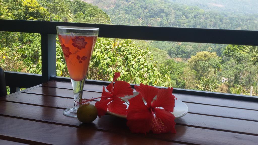 Homestay Mistletoe & Cafe