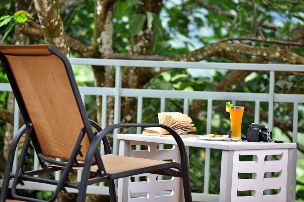 Homestay Mistletoe & Cafe