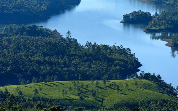 Guest house Dreams Munnar