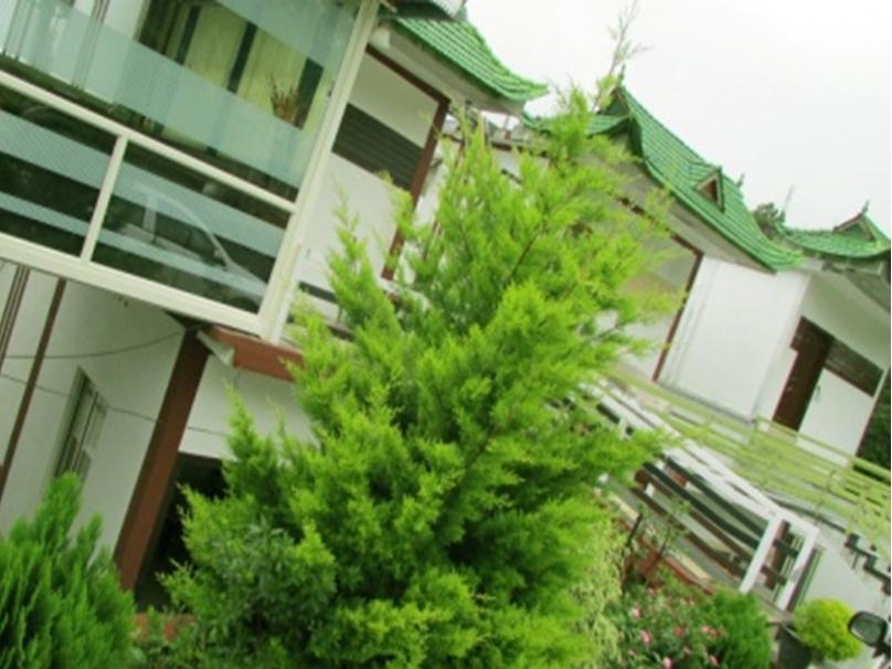 Trees