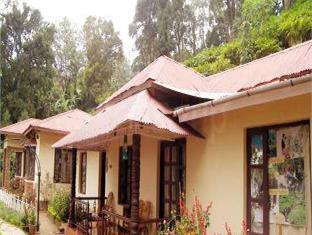 Olive Brook Munnar