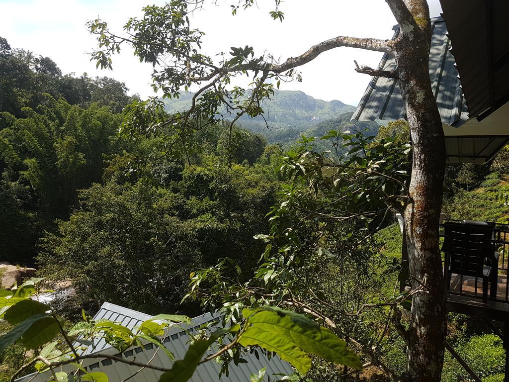 Moselberg Riverside Munnar