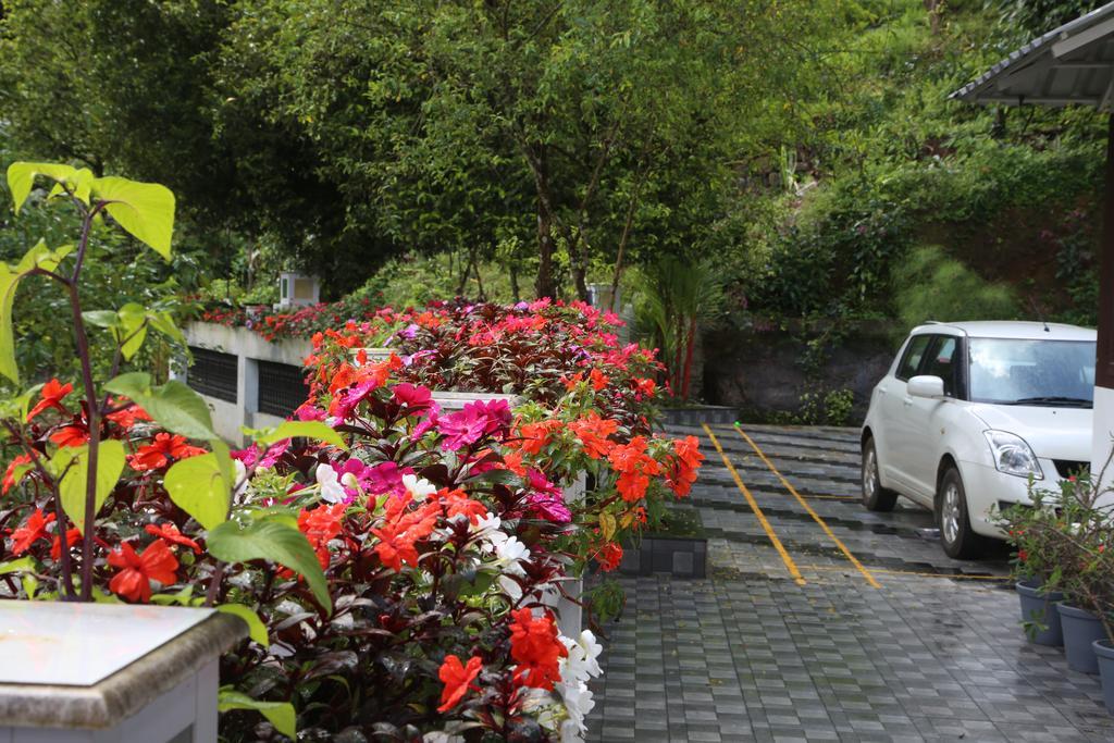 Sceva's Garden Homestay *