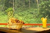 Falling Waters Hotel 3*