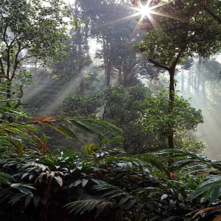 Dew Drops Farm Farm stay Munnar