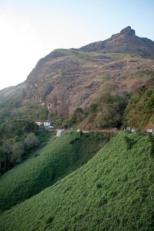 View Valley * Munnar