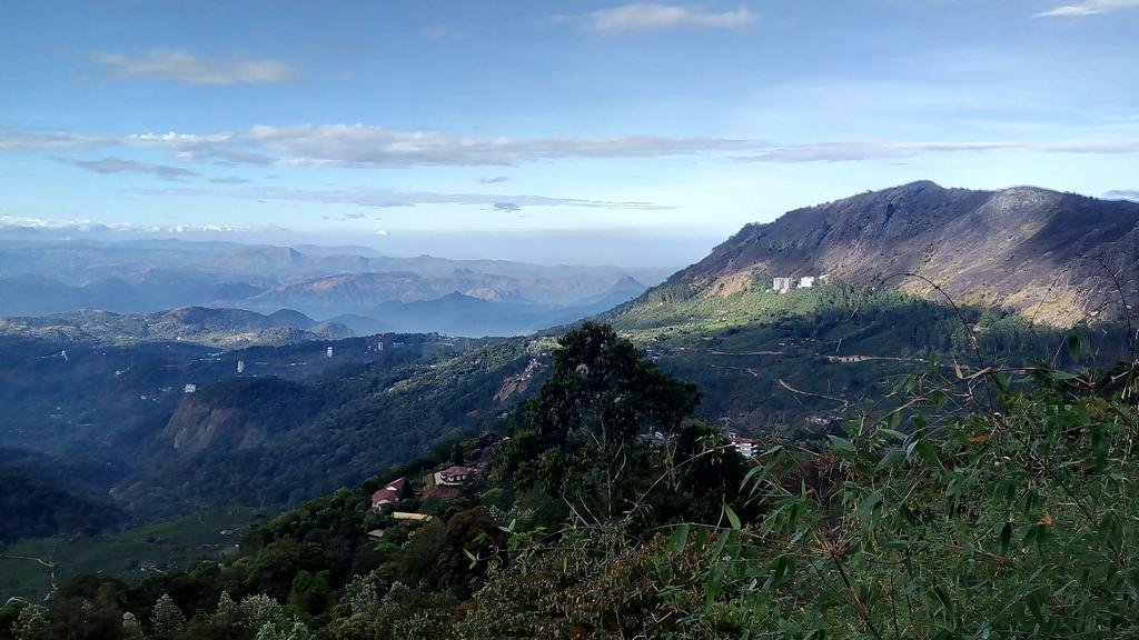 Homestay Tea Dale - With Tea Estate View