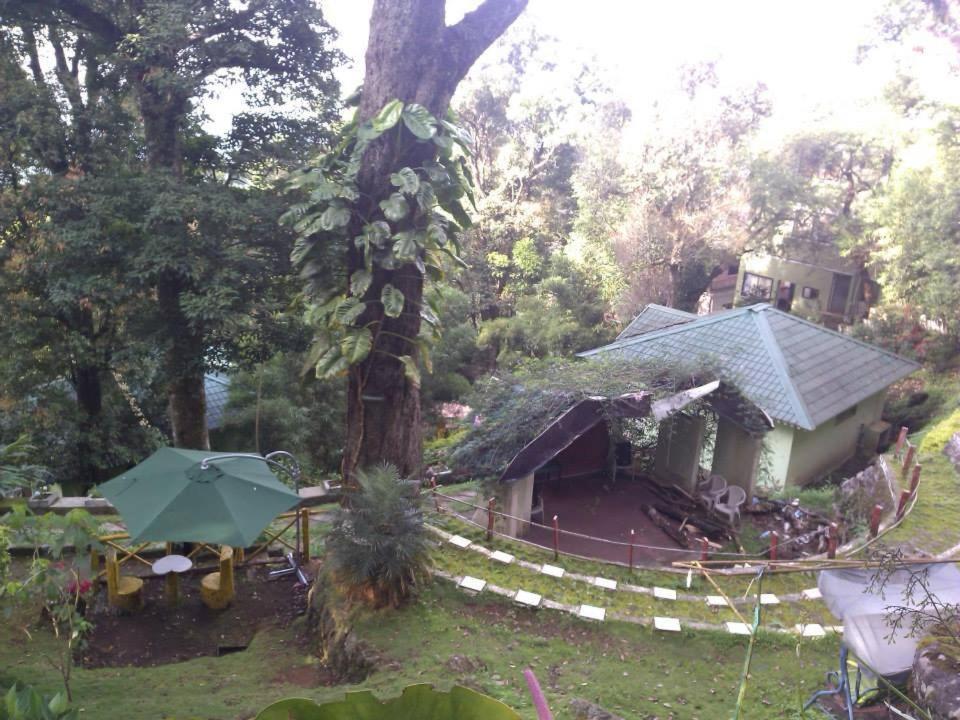 Hotel Great Escapes Munnar