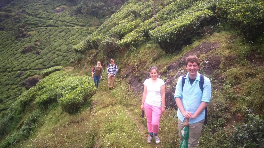 Tea Dale - With Tea Estate View *