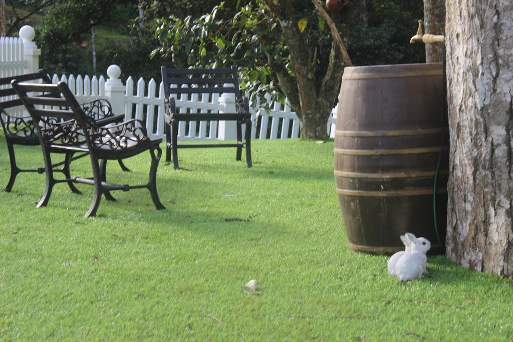 31st December Farms And Estates Munnar