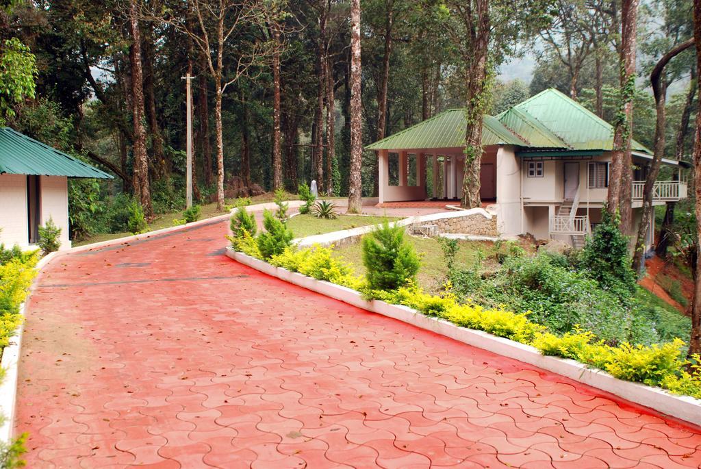 Deep Woods Munnar