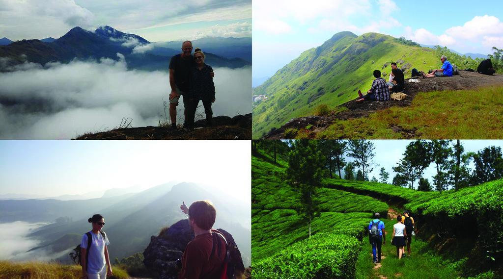 Homestay Mistletoe & Cafe Munnar