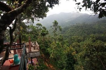 Wild Elephant Eco Friendly 3*