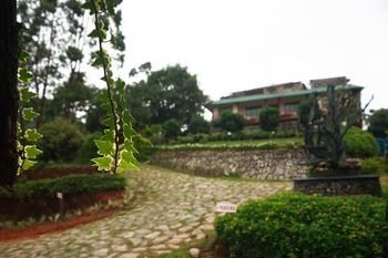 Resort Wild Elephant Eco Friendly Munnar