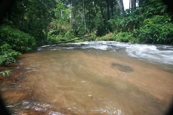 Wild Elephant Eco Friendly Resort