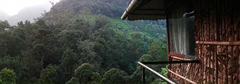 Wild Elephant Eco Friendly 3* Munnar